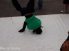 cuda-at-annual-washington-park-live-arts-music-festival-10-01-2011-127