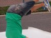cuda-at-annual-washington-park-live-arts-music-festival-10-01-2011-18