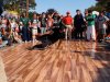 cuda-at-annual-washington-park-live-arts-music-festival-09-22-2012-118