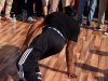 cuda-at-annual-washington-park-live-arts-music-festival-09-22-2012-123