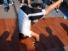 cuda-at-annual-washington-park-live-arts-music-festival-09-22-2012-15