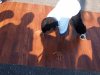 cuda-at-annual-washington-park-live-arts-music-festival-09-22-2012-20
