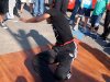 cuda-at-annual-washington-park-live-arts-music-festival-09-22-2012-42