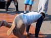 cuda-at-annual-washington-park-live-arts-music-festival-09-22-2012-80